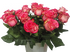 Селебрити