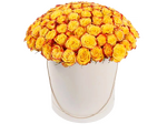Флорида