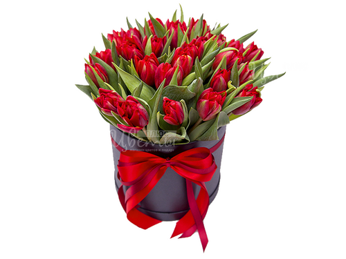 Red Passion