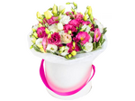 Фламинго